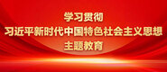 男人插女人逼网站免费学习贯彻习近平新时代中国特色社会主义思想主题教育_fororder_ad-371X160(2)